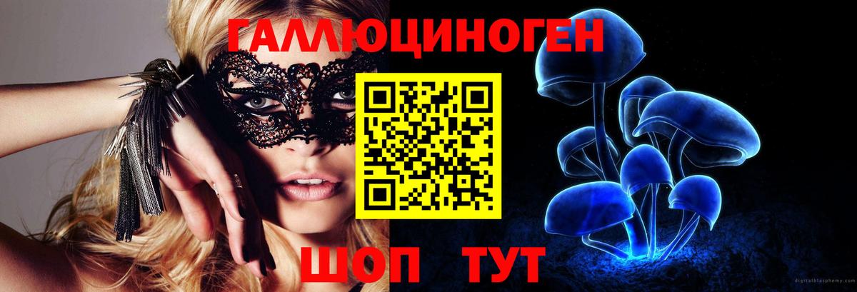 Балаково  Псилоцибиновые грибы Psilocybine cubensis  Вход с VPN 